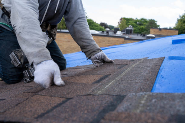 Best Storm Damage Roof Repair  in Franklin Farm, VA
