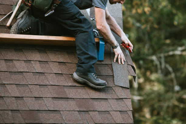 Best Roof Maintenance Services  in Franklin Farm, VA